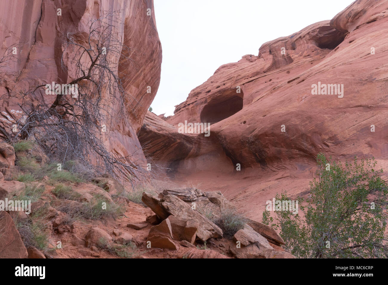 Navajo Nation, il Parco Nazionale di rocce rosse la Natura Di Paesaggio Foto Stock
