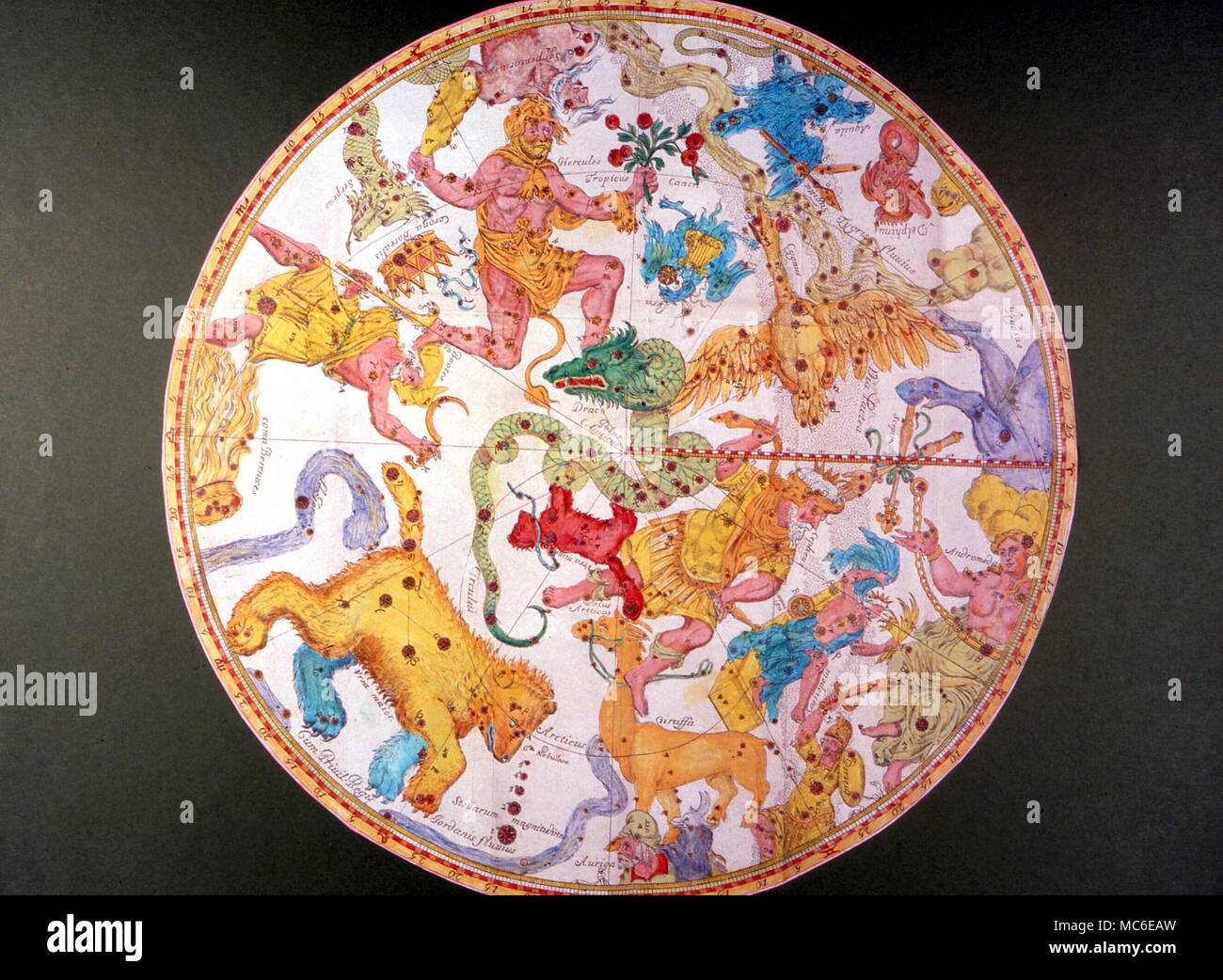 Mappa di costellazione con il grande orso e alcuni dei cosiddetti constellational zodiac asterisms. Xviii secolo la stampa Foto Stock