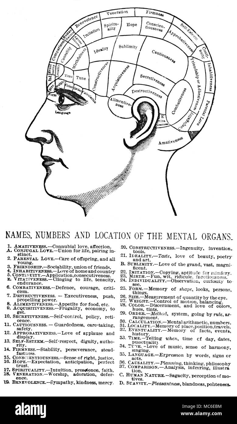 Il PHRENOLOGY e fisionomia della testa Phrenological, con chiave. Da Nelson Sizer e H.S Drayton, capi e faccia, e come li studi, 1892. Foto Stock