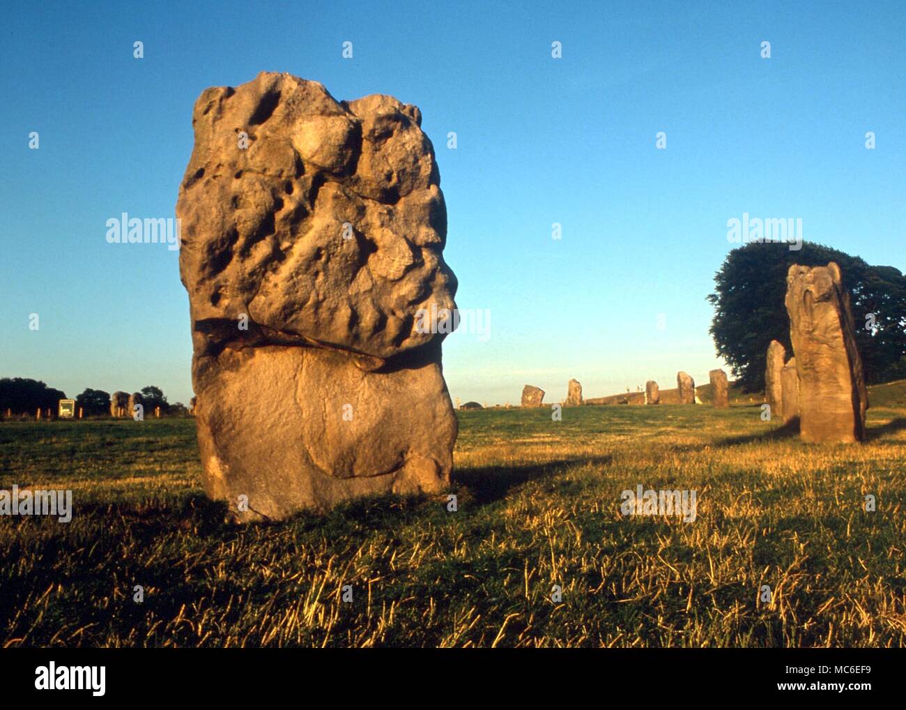 Stones - montante preistoriche pietre nel cerchio principale ad Avebury, Wiltshire, costruita prima di 2,50 BC Foto Stock