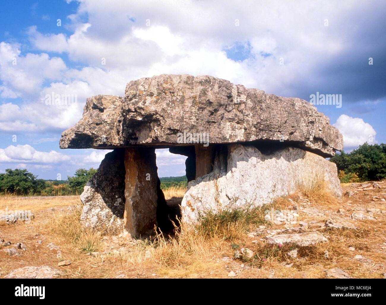 Stones - Dolmen. Dolmen preistorici tra Vaour e penne nel sud della Francia Foto Stock
