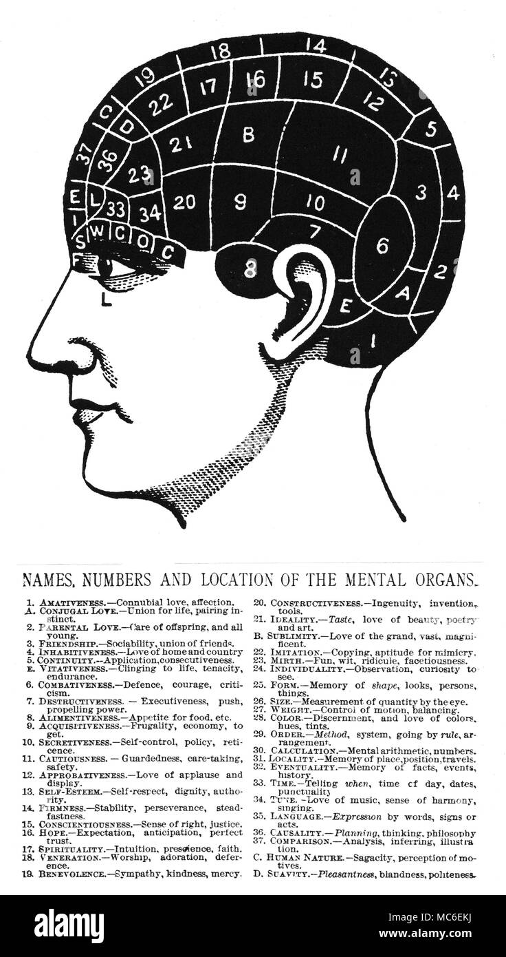 La fisiognomica e il phrenology una testa phrenological, con numero-chiave. Da Nelson Sizer e H.S. Drayton, teste e Volti e come li studi, 1892. Foto Stock