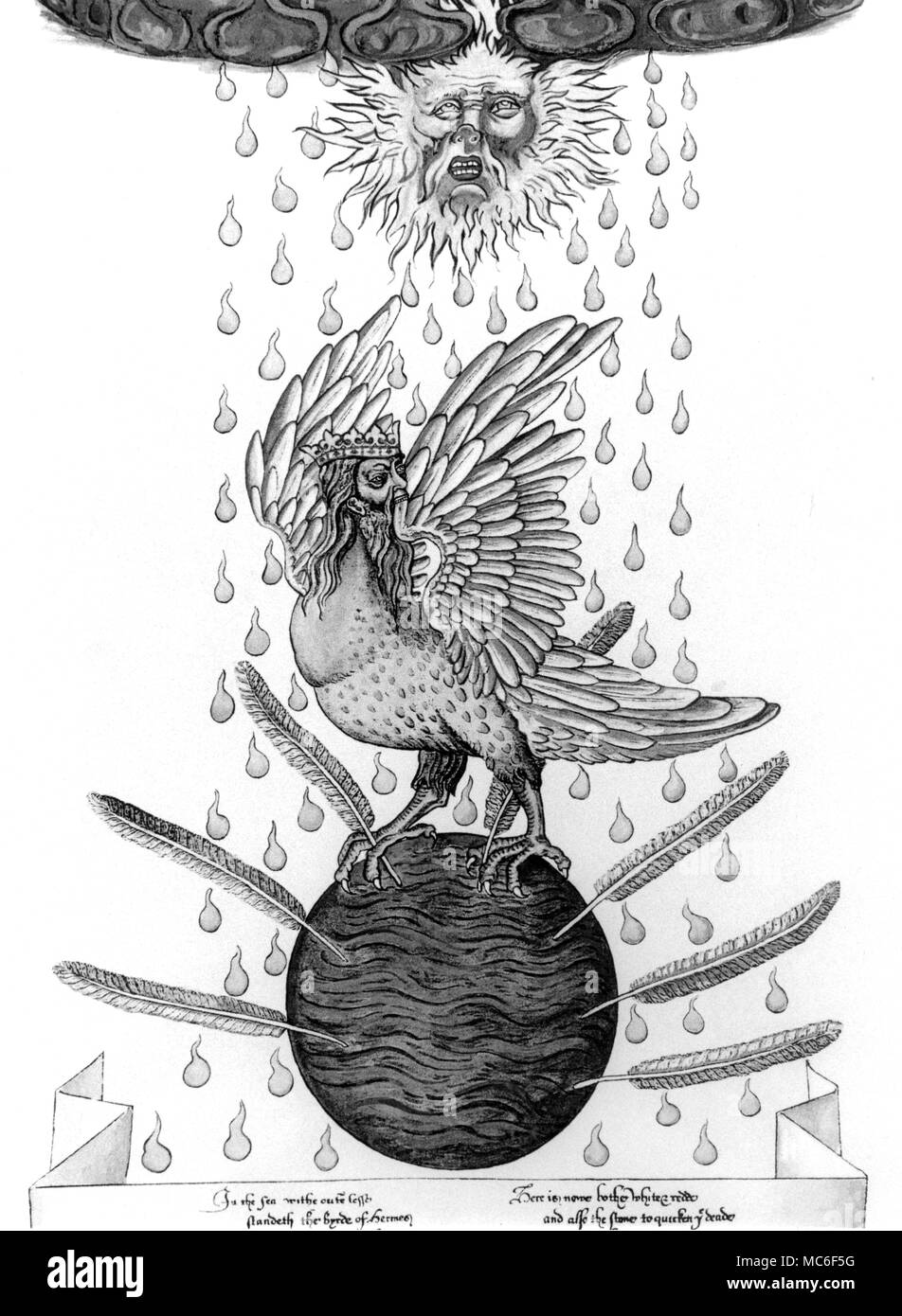 La Hermes Bird, stando in piedi in mezzo ai sette piume che perforano le acque da cui verranno rigenerati. Il solare di acqua che cade in goccioline round l'uccello è simbolo di rinascita, o reincarntion, che è il destino di phoenix-come un uccello. Da una copia di George Ripley di scorrimento alchemici, circa 1470. Foto Stock