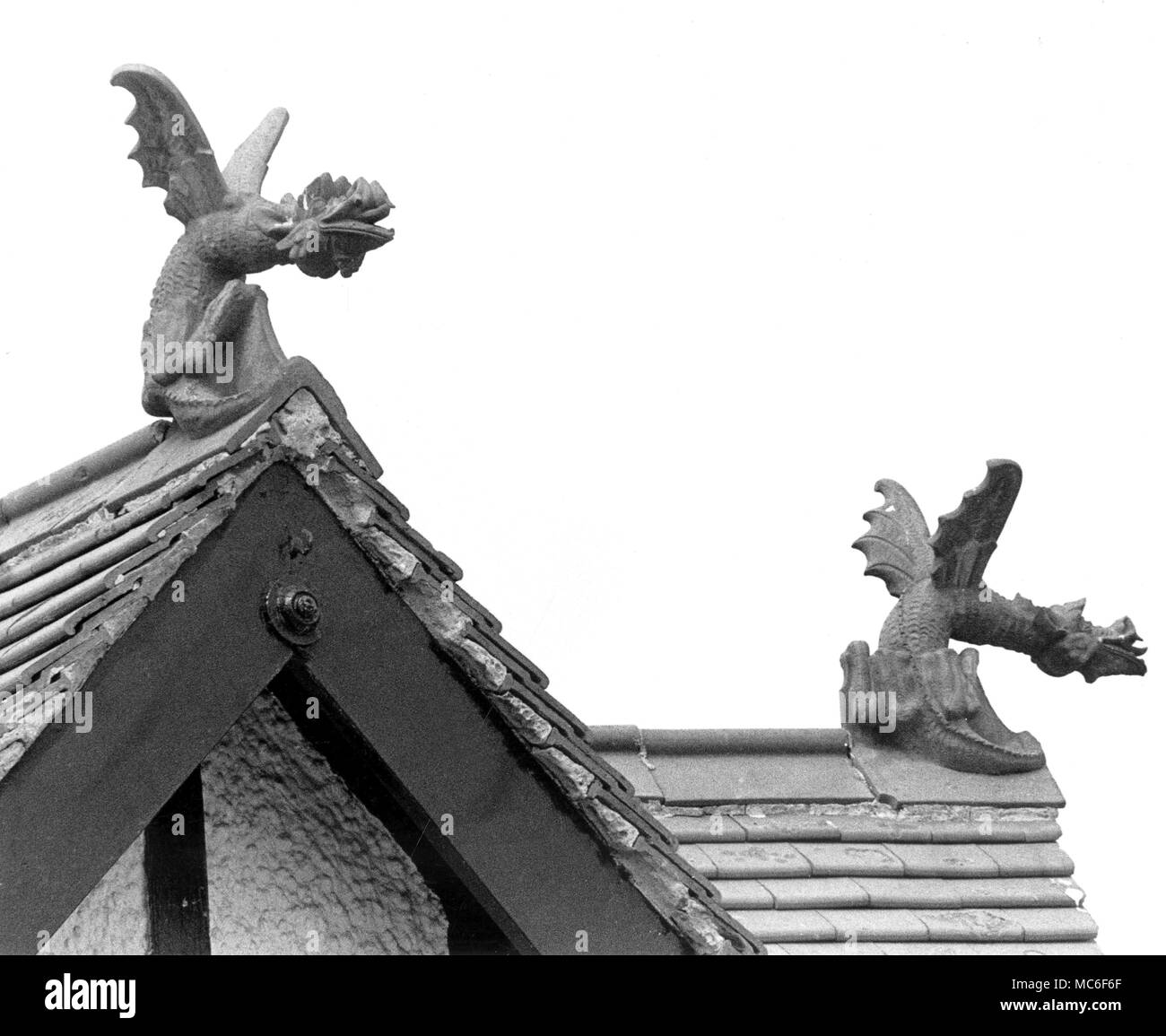 Guardian dragons sul tetto della casa d'angolo di Bank Street e Manor Road. Foto Stock