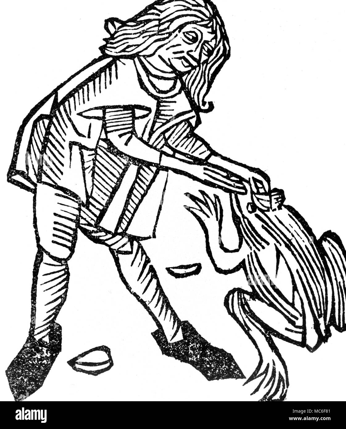 Estrazione del magico toadstone dalla testa di un rospo. Da una edizione francese di "Hortus Sanitatis', Parigi 1510. Foto Stock