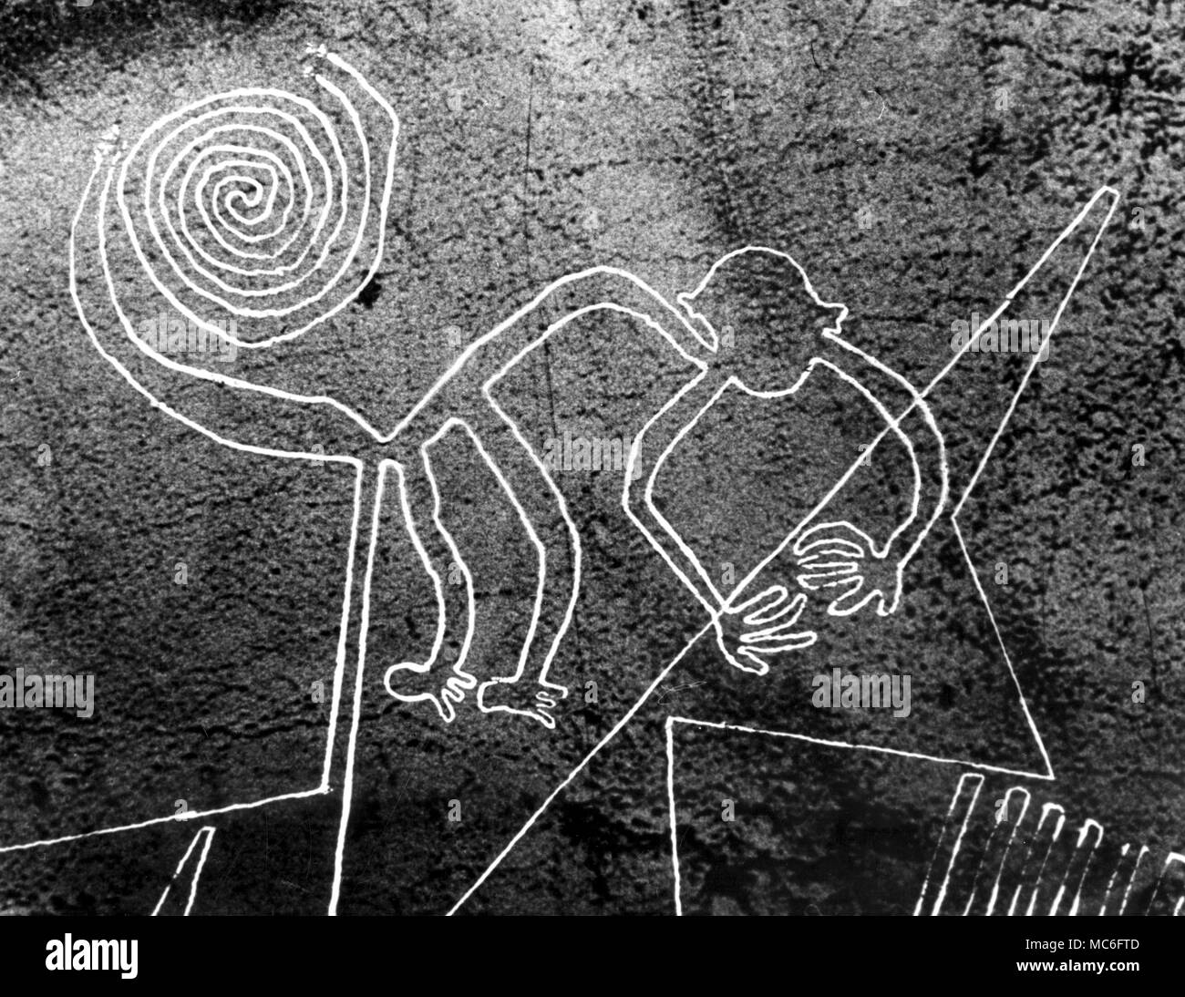 Disegno di sabbia di Nazca indiani - scimmia Foto Stock