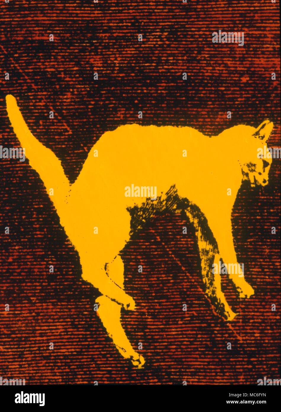 Fotografie sperimentale basato sulla Muybridge colpi di 1890s. Foto Stock