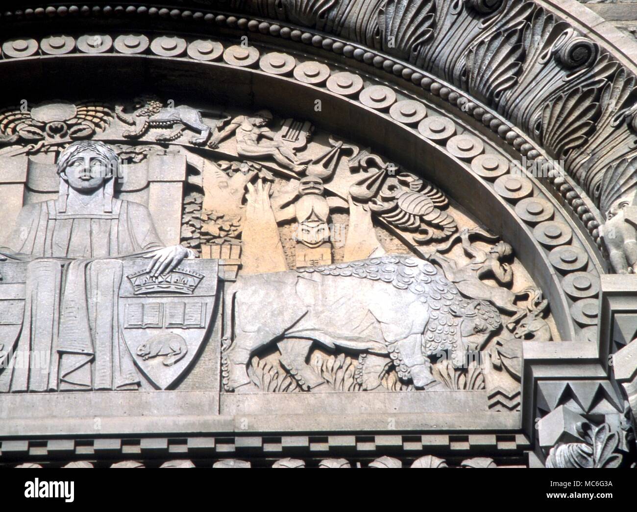 Animali scultura in rilievo di un bisonte sul timpano del Royal Ontario Museum di Toronto, Canada Foto Stock