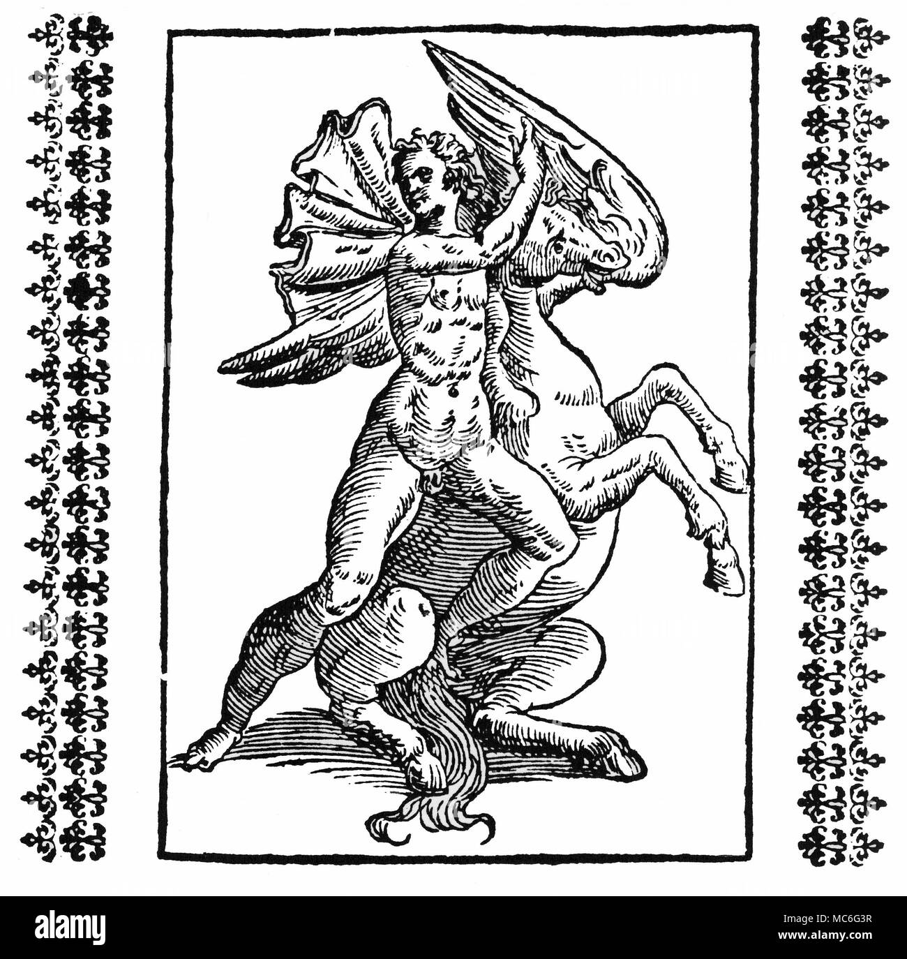 La mitologia greca - BELLEROPHON l'eroe, Bellerophon, il tentativo di montare il cavallo alato Pegaso, per volare verso il cielo. Indignata per questa ambizione smodata, Zeus ha inviato un seccatore con ordini di sting il cavallo. Bellerophon fu gettato e caddero per la sua morte. Xilografia da un secolo XVI edizione del Natalis Comitis Mythologiae,. Foto Stock