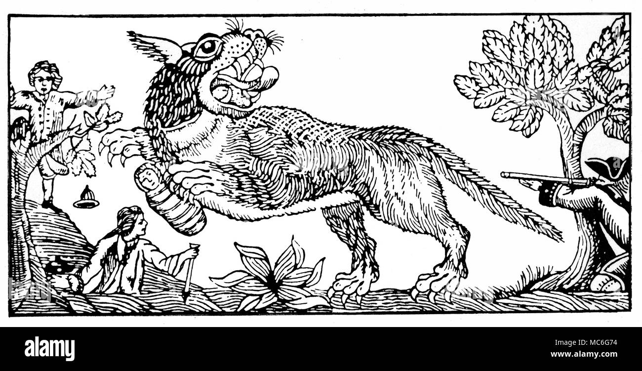 Mostri - bestia di GEVAUDAN xilografia che illustra l'aspetto e la caccia della terribile bestia di Gevaudan che terrorizzava questa campagna francese nella metà 1760s. Foto Stock