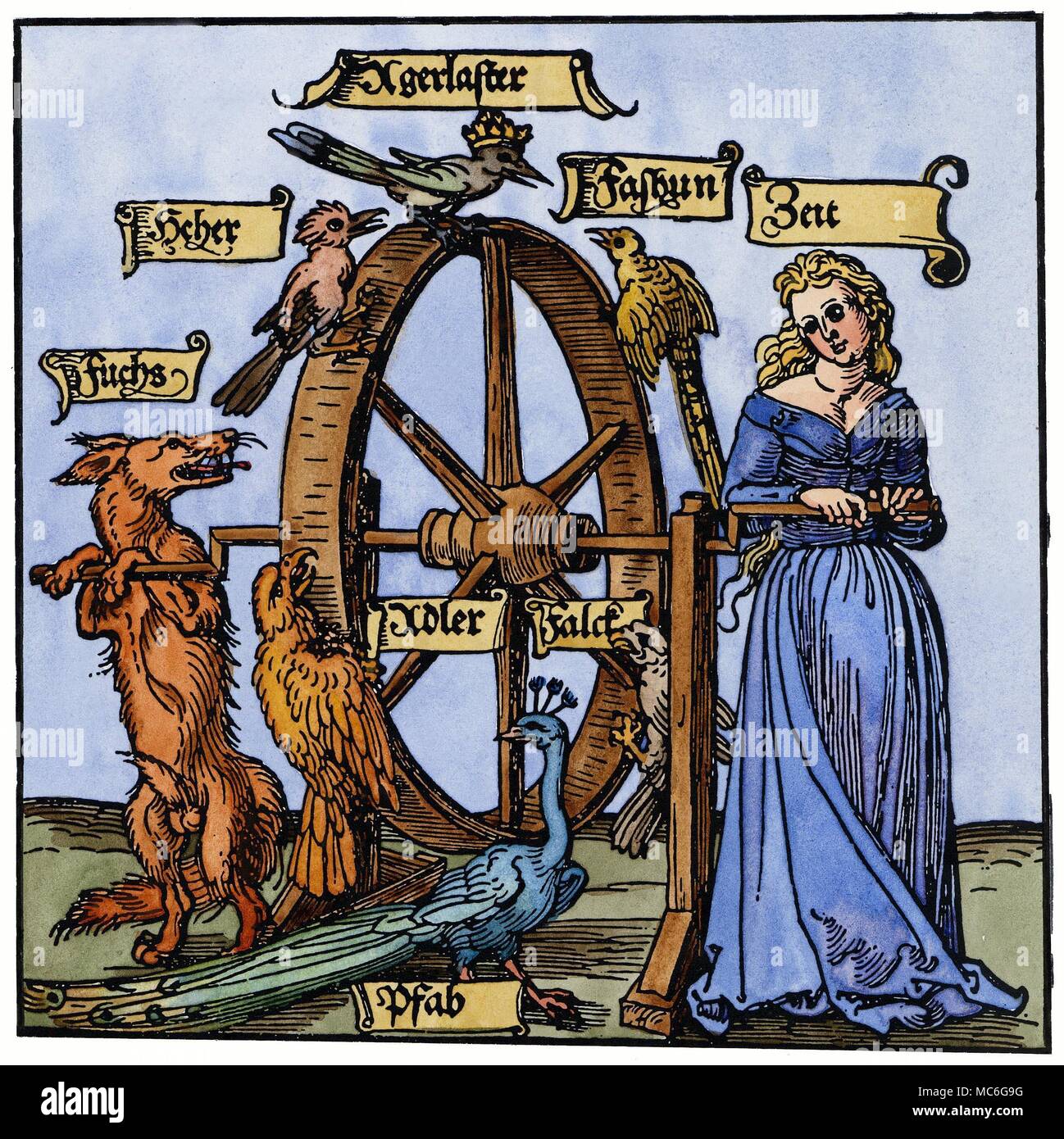 Ruota della Fortuna dettaglio di una ruota della fortuna, detto (nel 1524) per essere una copia di un disegno su un vecchio arazzo, trovati nel castello di Michelfeld, sul Reno. Questo dettaglio mostra il tempo (Zeit) girando la ruota della fortuna, aiutata da una volpe (Fuchs). Il named uccelli includono un pavone, un falco, una gazza, un fagiano e un'aquila - questi potrebbero essere stati stemmi araldici. La stampa è spesso erroneamente attribuita a Albrecht Dürer. Foto Stock