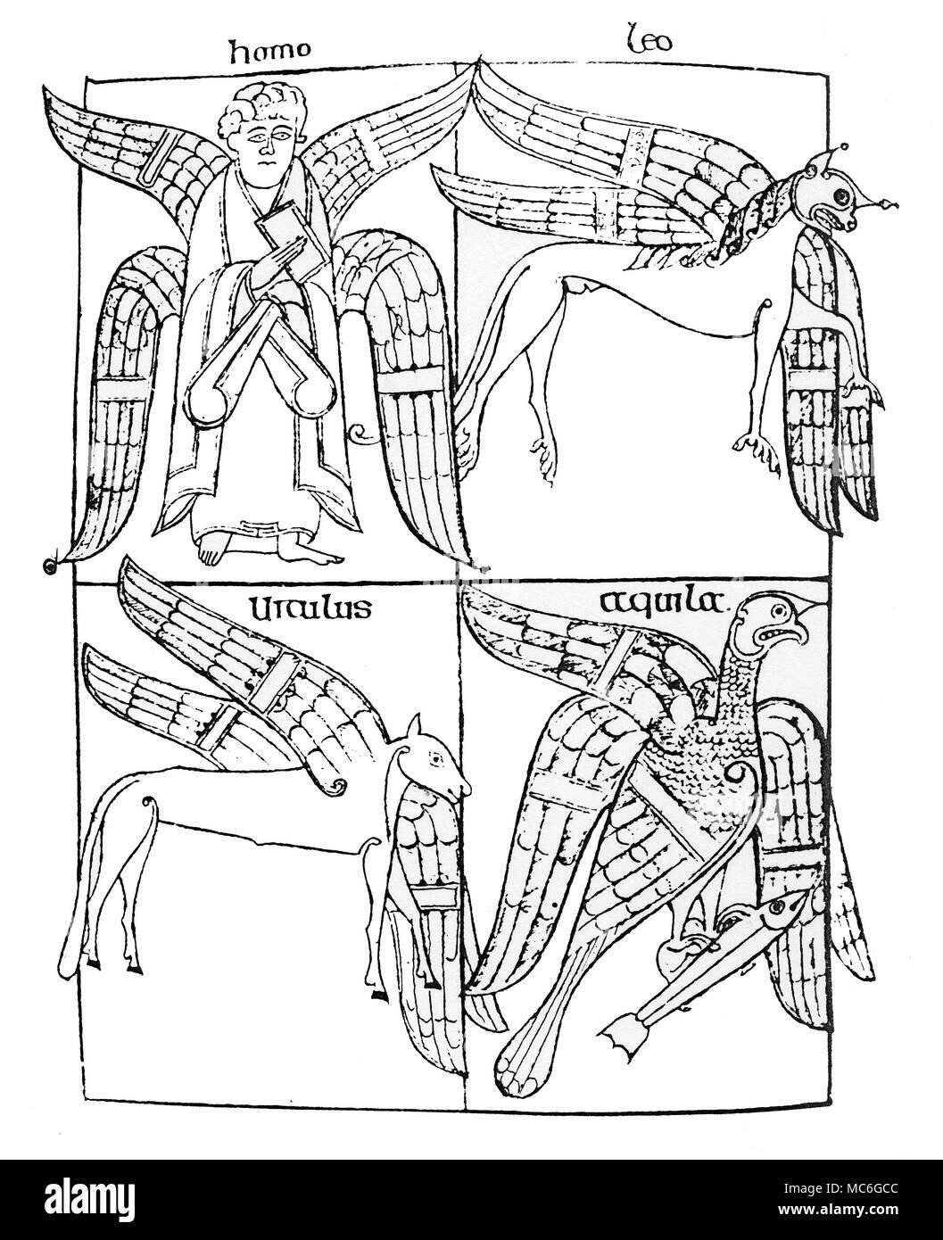 CHRISTIAN - simboli - evangelisti i primi cristiani i simboli dei quattro evangelisti (le cui immagini sono derivati da fisso segni dello zodiaco, come segue). Top [Homo] è l'uomo alato di San Matteo, derivato dall'acqua alato-versatore del zodiacale acquario. Top [Leo] è il leone alato di San Marco, derivato dal Lion del zodiacale leone. Fondo [Viculus] è il toro alato di san Luca, derivato dalla bolla del zodiacale Toro. Fondo [Aquila] è l'aquila di San Giovanni, derivata da redenti scorpion del zodiacale Scorpione. Presumibilmente, l'aquila di John porta un pesce a causa di Foto Stock