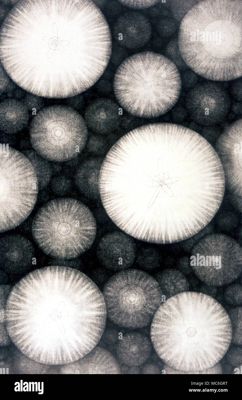 Astrologia - lastra incisa che mostra i sistemi dell'Universo, dal libro dello stesso nome da Thomas Wright, 1750 Foto Stock