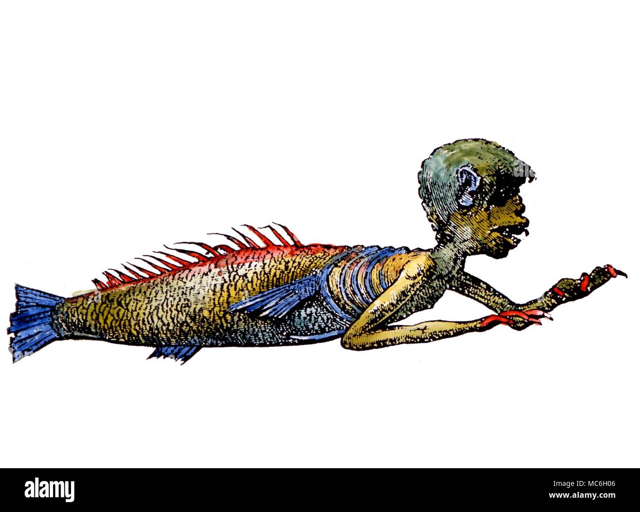 Mostri - MERMAN. Xix secolo incisione del merman esposti nel XIX secolo da tali impressarios come Barnum. L'originale è oggi conservato al Horniman Museum di Londra Foto Stock