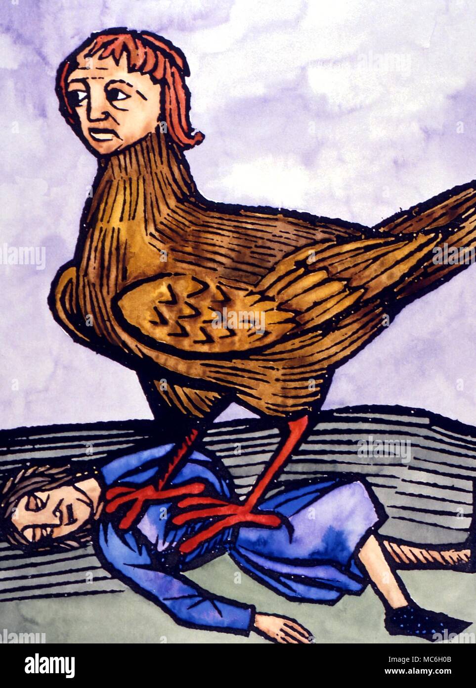 Mostri - ARPIA medievale stampa di legno di una post-Argonauti arpia - un uccello con il volto di una donna. In letteratura classica sono i rapitori, che possono rendere le persone scompaiono senza lasciare traccia. Circa 1510 Foto Stock