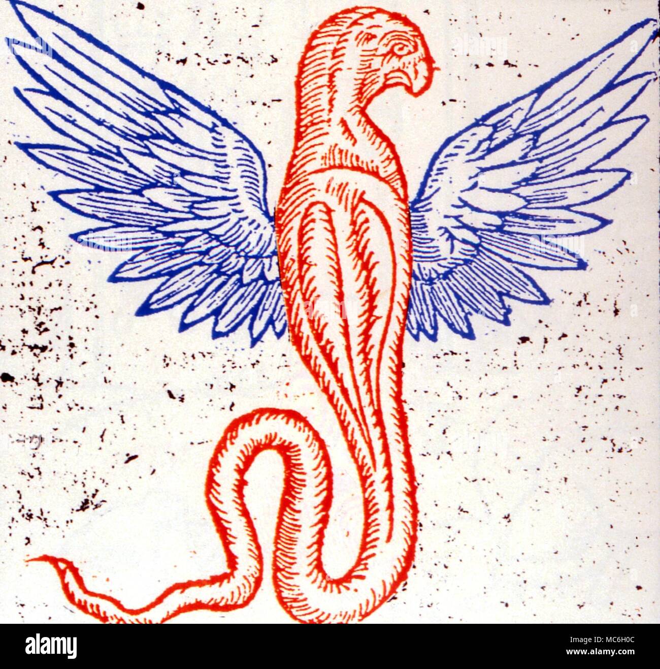 La maledizione dell'uccello serpente