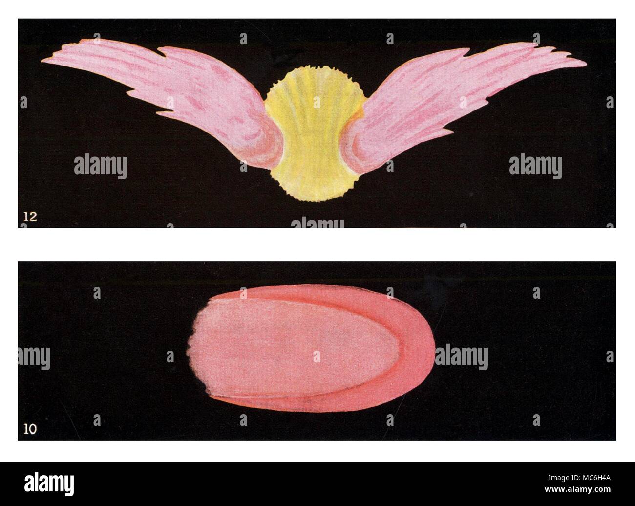 Teosofia - forme di pensiero - piano astrale Pensiero Forme, visto da personale addestrato veggenti, sul piano astrale. Modulo superiore, nella similitudine di un disco alato, rappresenta un pensiero o atteggiamento della mente che offre la pace e la protezione. La forma inferiore rappresenta l'aspetto (sul piano astrale) di un preciso e diretto di affetto. Dipinti di forme di pensiero sono state originate da un gruppo di teosofi, verso la fine del XIX secolo. I dipinti sono stati eseguiti seguendo le osservazioni occulta di tali "pensieri" o "visioni" sul piano astrale, da Charles Leadbeater (Besant cl Foto Stock