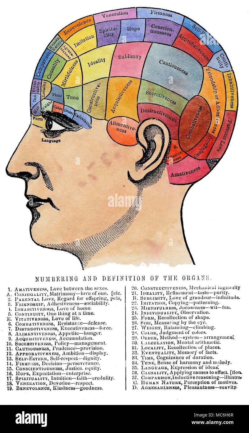 La fisiognomica e il phrenology un grafico phrenological, con parola chiave chiave per identificare le località sulla testa. Da Nelson Sizer e H.S. Drayton, teste e Volti e come li studi, 1892. Foto Stock