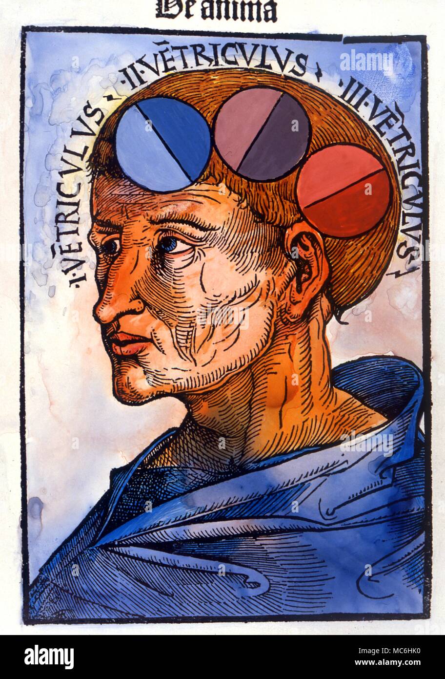 Xilografia medievale c.1490 dei tre gruppi del corpo umano, anima e spirito. Foto Stock