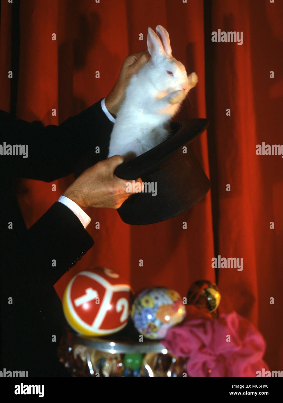 Il mago solleva un coniglio bianco da un cappello a cilindro che ha appena dimostrato di essere vuoto. Foto Stock