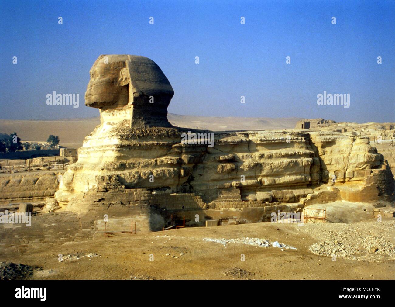 In Egitto la Sfinge La sfinge a Gizah vicino al Cairo Foto Stock