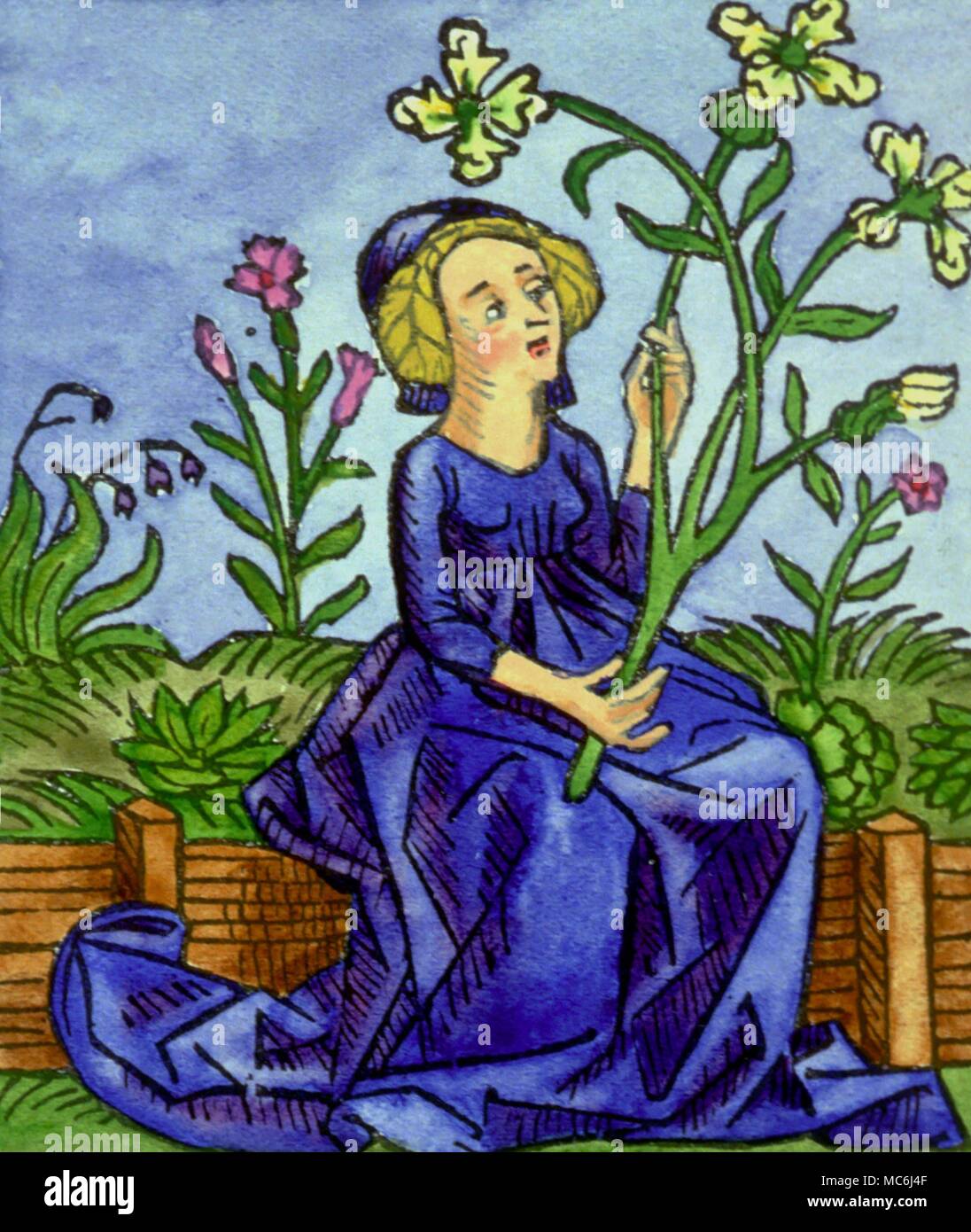 Christian Vergine Maria Vergine con gigli emblemi dell'Annunciazione da Franciscus de Retza de generatione Christi 1490 un libro che attinge a Christian miracoli Foto Stock