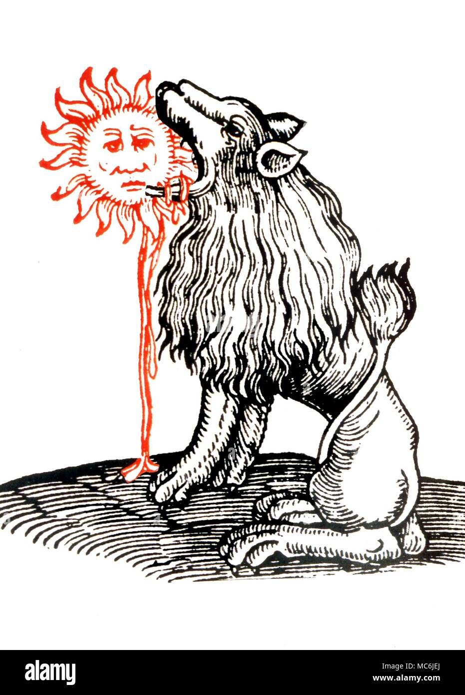 Alchimia - Verde Lion. Alchemici stampa simbolico, mostrando il Green Lion per mangiare il sole dopo un secolo XVI stampare Foto Stock