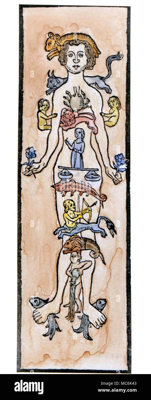Uomo zodiacale, ate xv secolo melothesic figura da un pastore francese il calendario. c.1490 Foto Stock