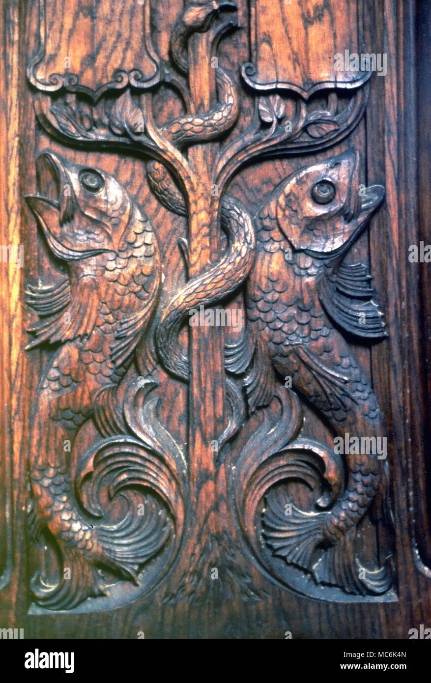 Segni zodiacali - Pesci immagine dei due pesci scolpiti su un banco di lavoro fine in Santa Maria Maddalena la chiesa di Launceston, Cornwall. Xix secolo design Foto Stock