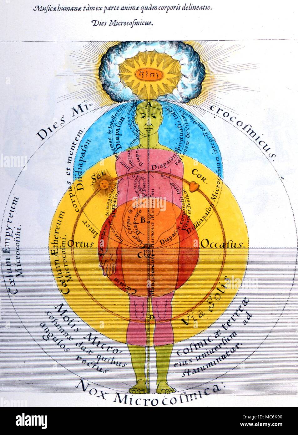 Astrologia - la musica delle sfere. Mano incisione colorata che mostra l'armonia delle sfere in relazione ai tre volte Man. Da Fludd, 'Utriusque Cosmi Minoris'' 1619' Foto Stock