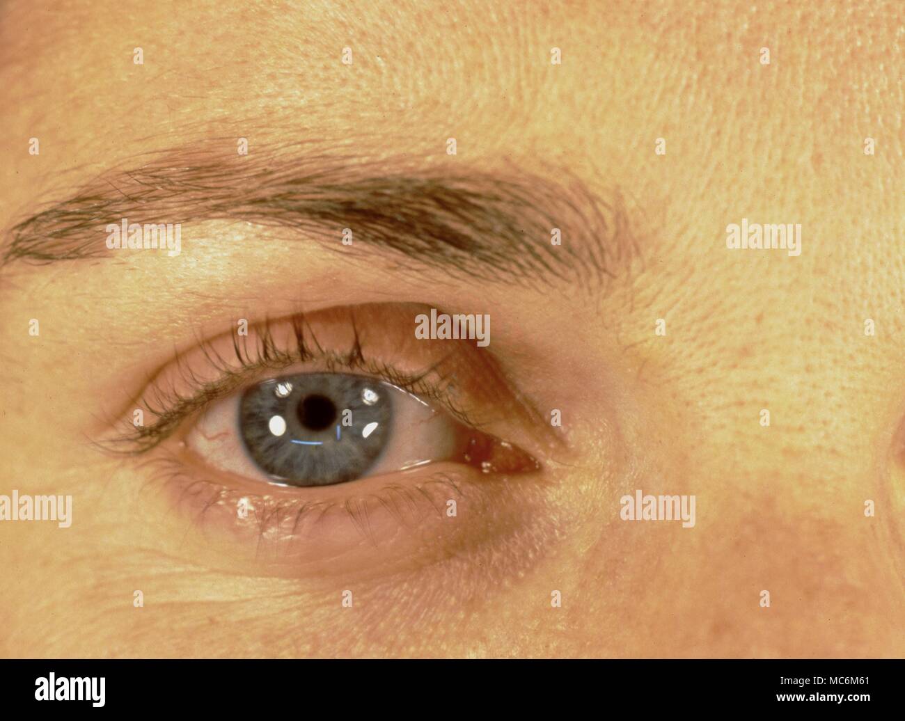 Iridology. Close up dell'occhio umano.it è la pupilla che è il principale studio di iridologists Foto Stock