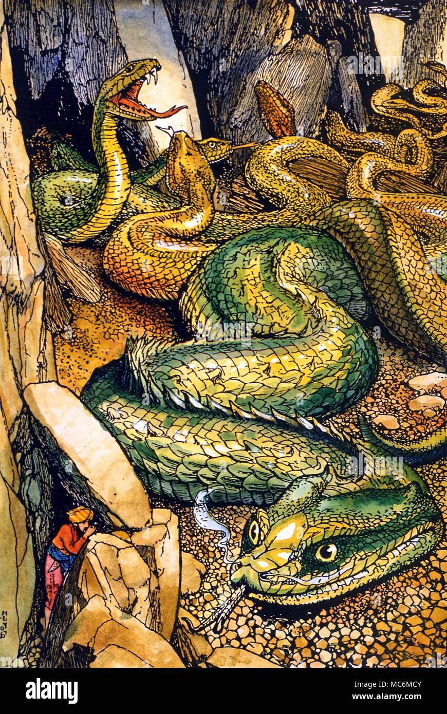 FAIRY TALES - serpente giganti. Sinbad nella valle del gigante serpenti, durante il suo primo viaggio. Dopo una illustrazione della Ford a Andrew Lang le Le Mille e Una notte di divertimenti, 1905 Foto Stock