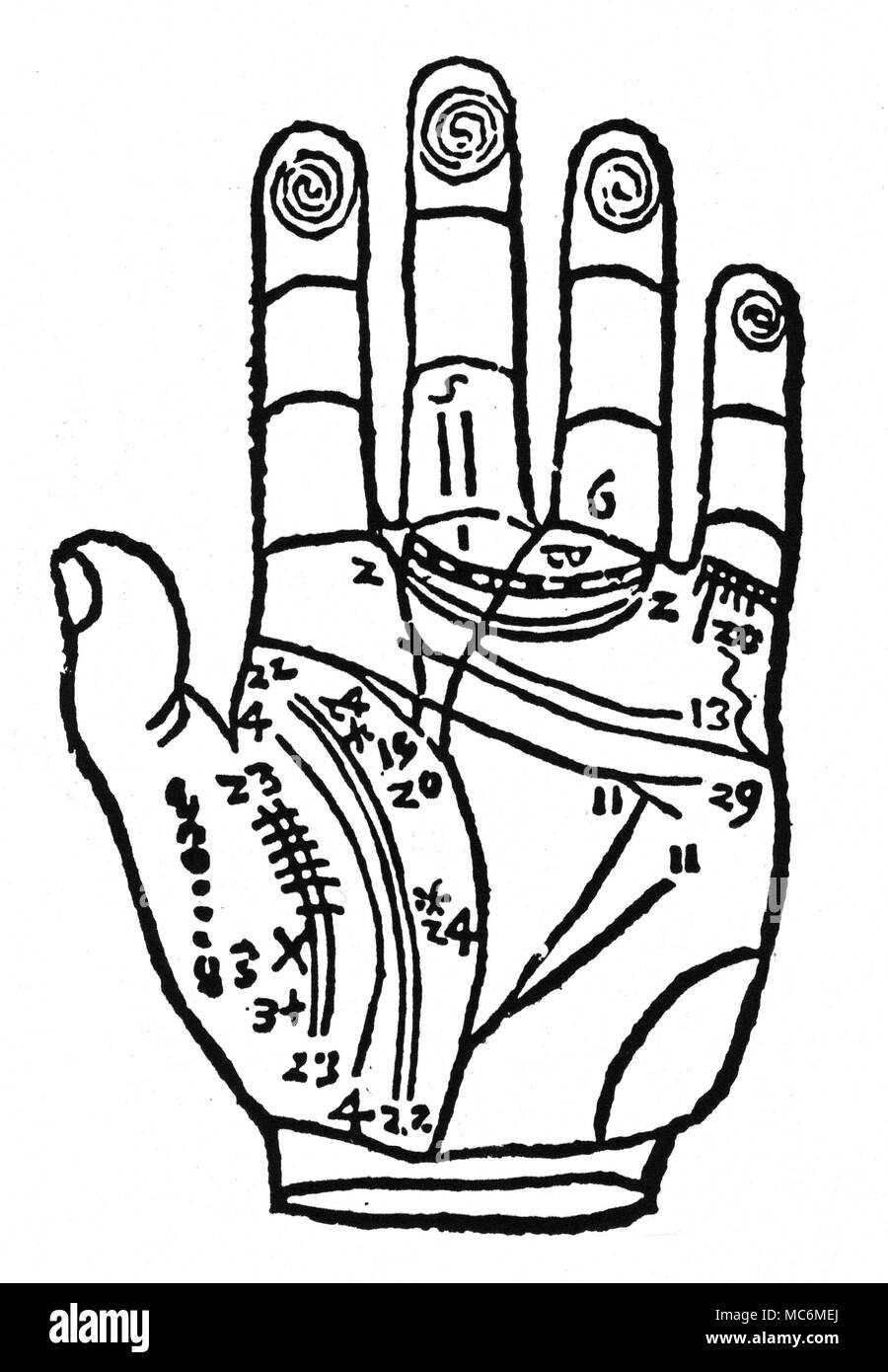 Chiromanzia - creste papillari xilografia illustrazione da Hoeping, Chiromantia Harmonica, rivelando un precoce interesse nel significato di pattern papillare sulla punta delle dita. Foto Stock