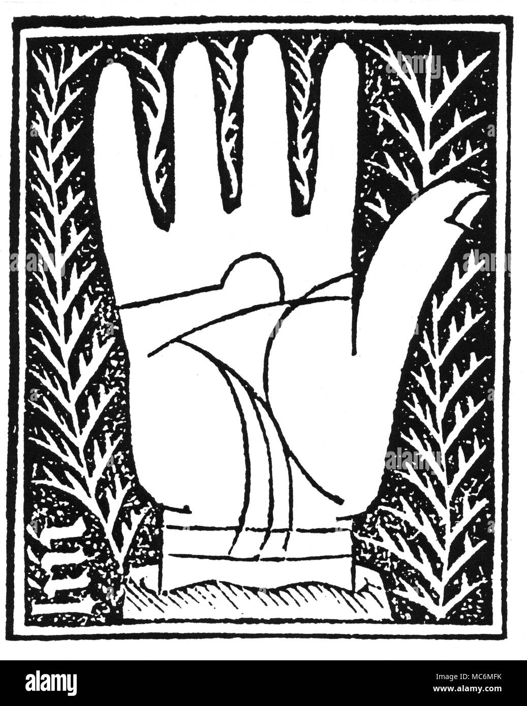 Chiromanzia - CHIROMANZIA medievale una xilografia illustrazione dal Ciromantia influenti di Barthelemy Cocles, pubblicato circa 1534. Il relativo testo, che si occupa di quello che ora è chiamato la linea di scimmia, interpreta tale linea come indicazione di una natura all'indietro. Presumibilmente perché il Simian rappresenta la colatura del le energie del cuore nella testa di energie. Foto Stock
