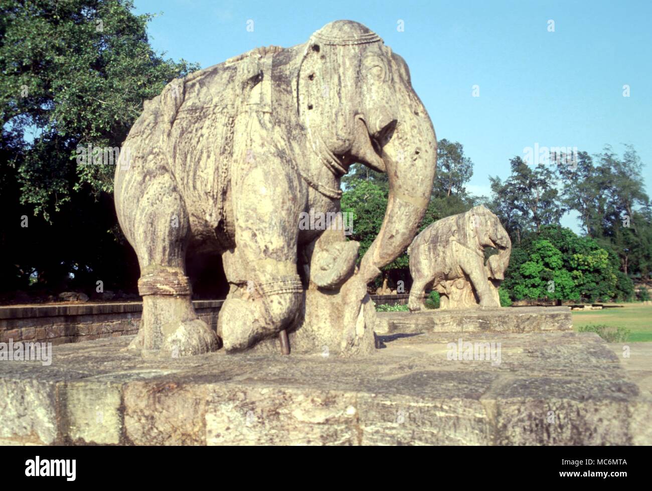 Gli elefanti giganti della sacra elefanti nel temenos del grande tempio di Suraya di Konârak, India. Foto Stock