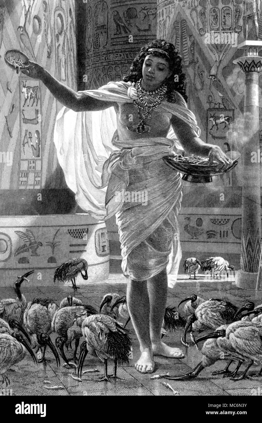 Mitologia egiziana alimentando il sacro Ibis nelle sale della Karnac incisione di Joubert dopo la pittura da E J Poynter incisi 1874 Foto Stock