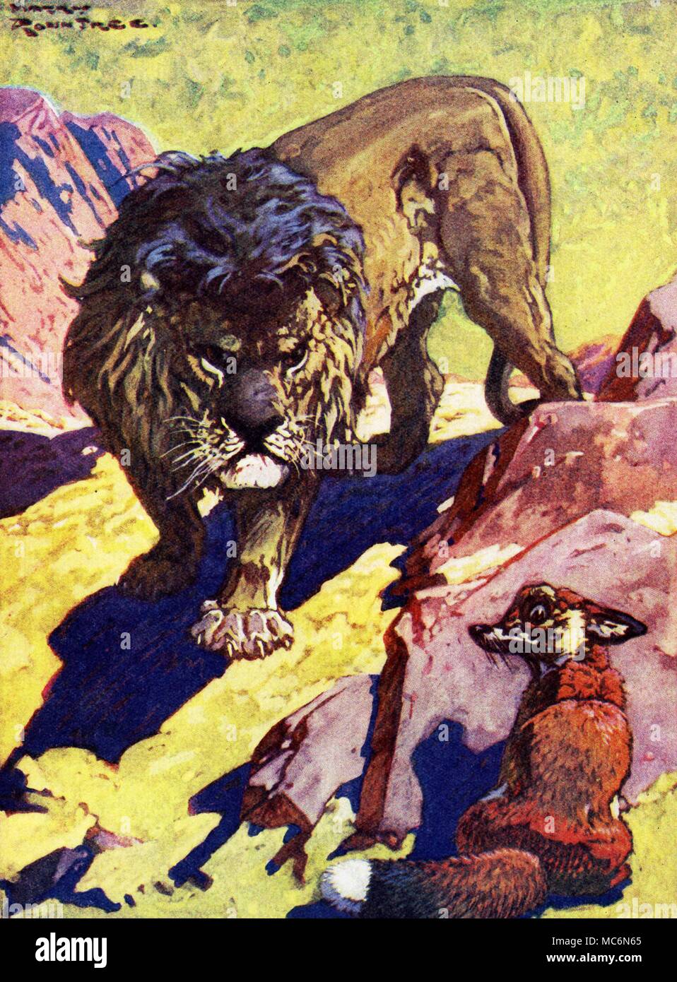 Le Favole Esopo Il Fox è stato in modo che il terrore che ha quasi morì di spavento illustrazione da Harry Rountree per fiabe di Esopo 1933 edition Foto Stock