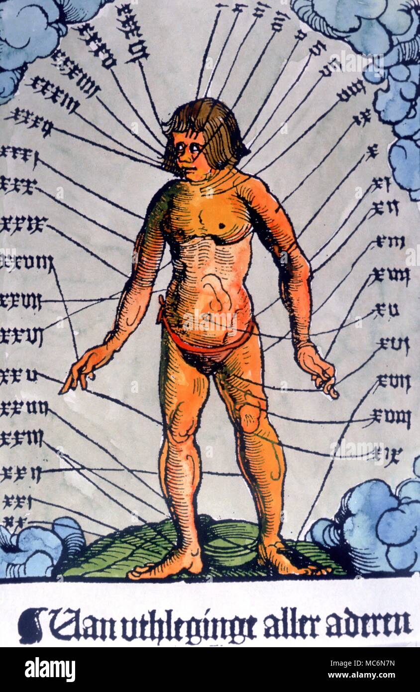 Il sangue per uso medico lasciando grafico sangue grezzo lasciando il grafico da Rostock Pastore il calendario del 1523 Foto Stock
