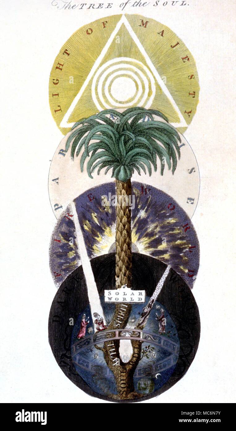 I Simboli Magici Tree di anima l'anima secondo albero della Rosicrucian Jacob Boehme mano stampa colorata sulla base dei disegni di legge di William nelle opere di Jacob Behmen il teutonico Theosopher con figure da William Legge 1764 Foto Stock