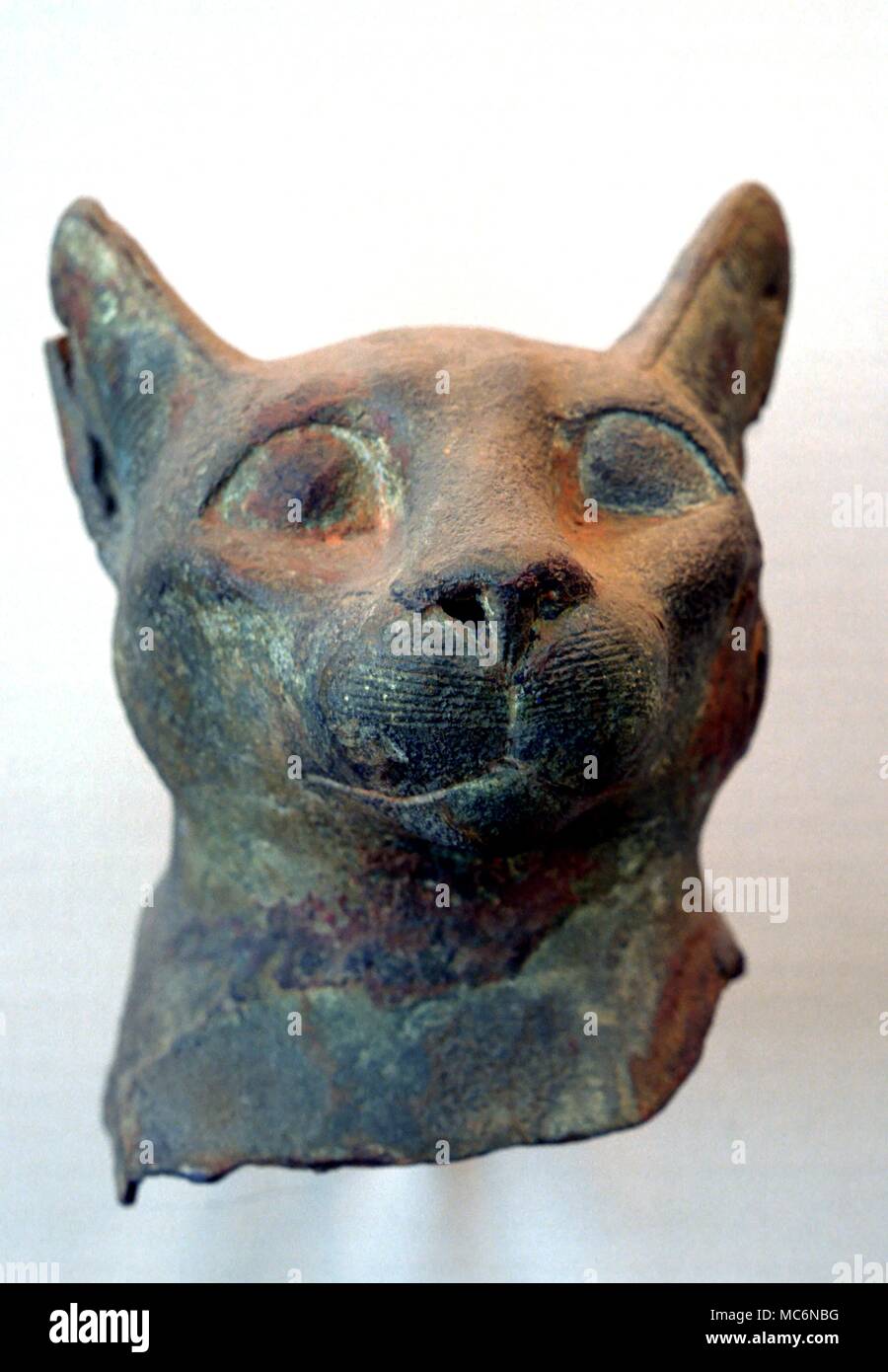 Gatto egiziano antica egiziana in bronzo testa di gatto nel Museo Archeologico di Istanbul circa 1600 BC Foto Stock