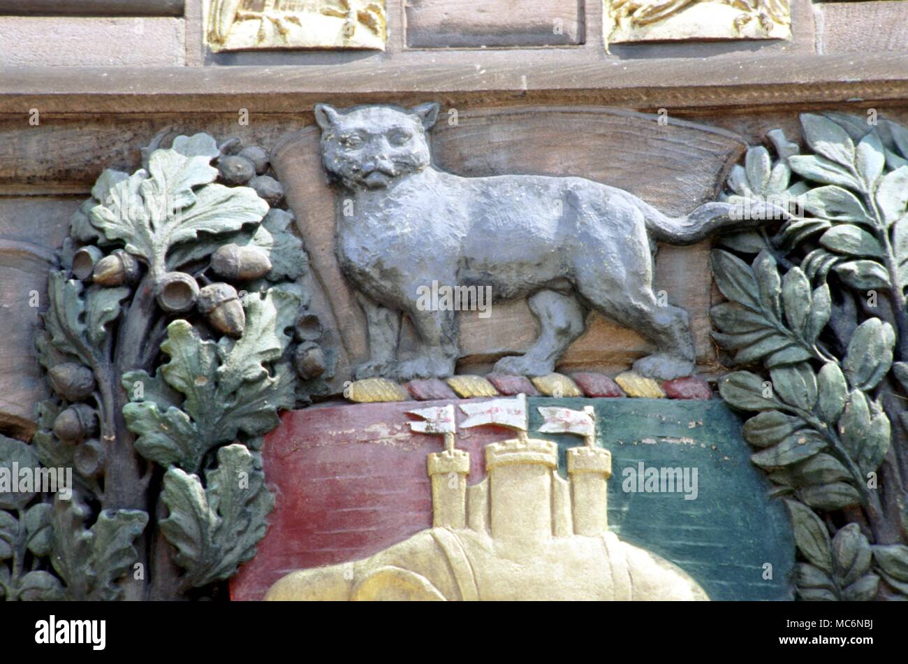 Gatto gatto araldico (Crest) su stemma simbolismo sulla facciata del Palazzo Comunale Foto Stock