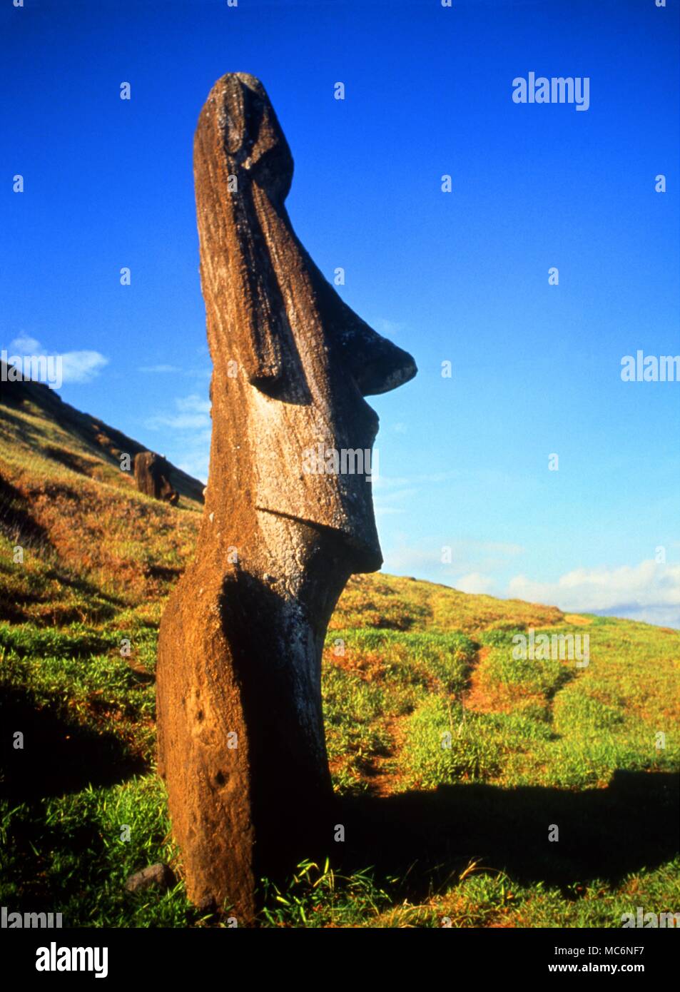 Mondo.2. Isola di Pasqua. Statua sulle pendici del dominante vulcano estinto, vicino all'antica cava. Foto Stock