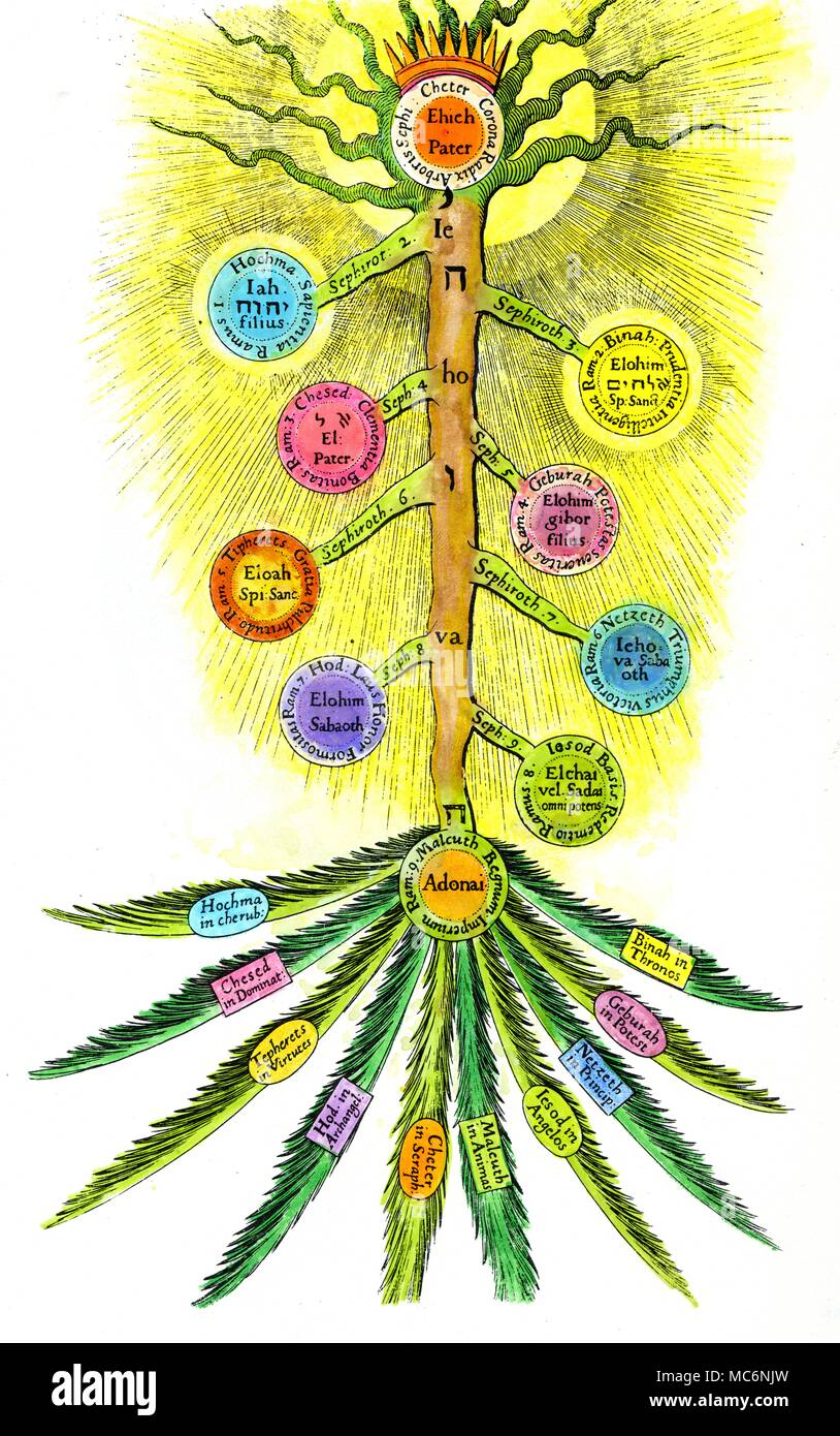 Il Sephirothic albero o albero della vita con i nomi indicati in latino e in ebraico, da Robert Fludd 'De praeternaturali utriusque mundi historia" [1621]. La struttura ad albero è giustamente raffigurato come remare verso il basso, con le sue radici nel cielo. Come questa immagine è derivata dalla cabala cristiana, i dieci rami sono collegati con le sfere celesti in accordo con la nomenclatura cristiana. Foto Stock