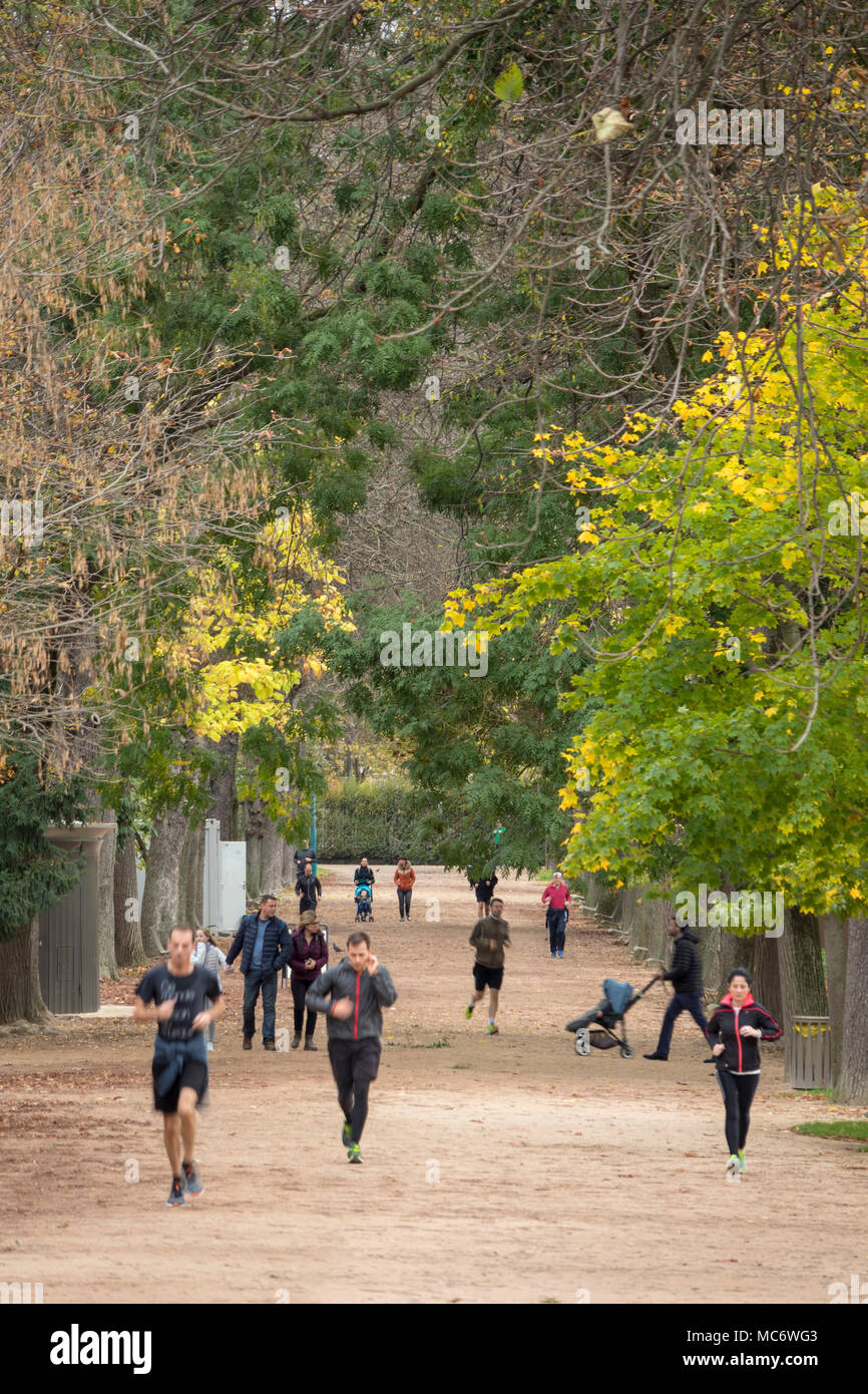 I corridori che esercitano nel Jardin des Plantes, il francese Giardini Botanici, Parigi, Francia Foto Stock