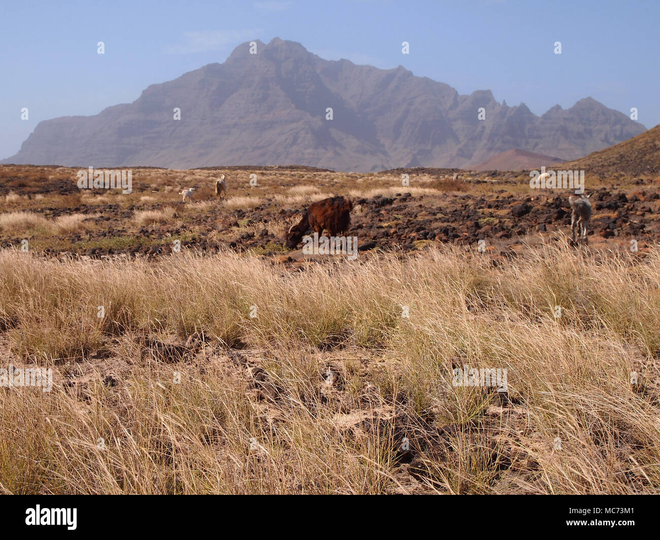 Paesaggio secco di Sao Vicente, una delle isole di Capo Verde Foto Stock