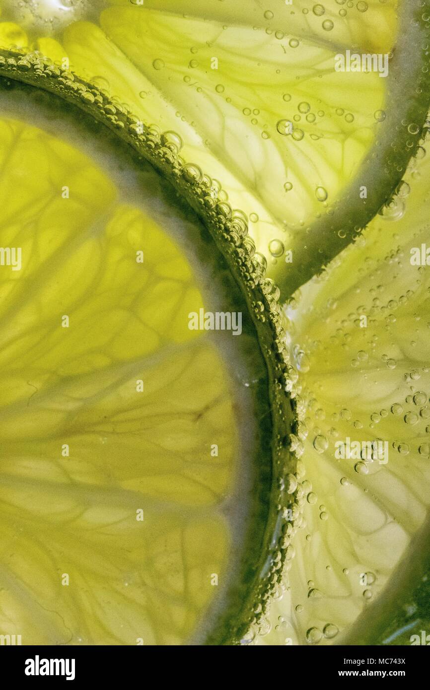 Macro fettine di lime in acqua frizzante con bolle Foto Stock