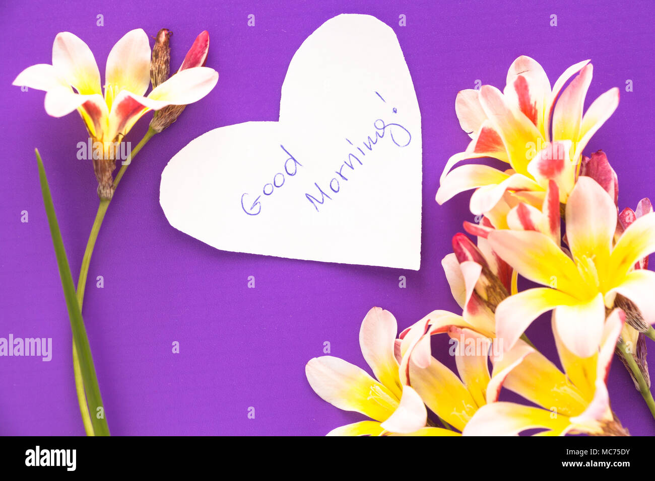 Nota in forma di cuore con le parole "Buongiorno!' con fiori viola sulla  superficie Foto stock - Alamy