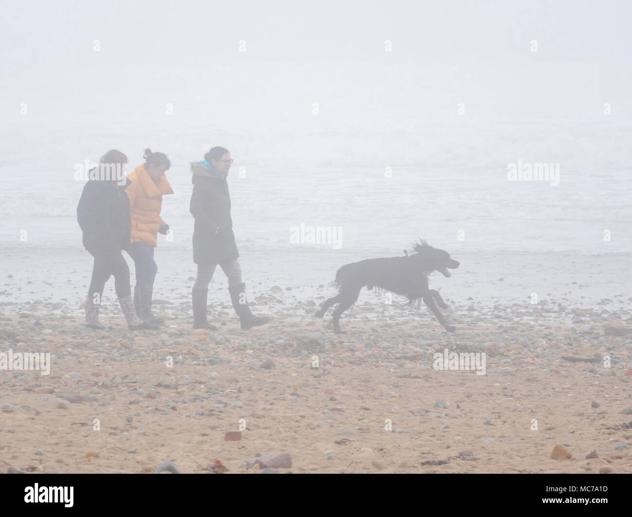 Marske dal Sea North Yorkshire Regno Unito 13 aprile 2018 UK Meteo una luce ad est il vento soffia dal mare del Nord Yorkshire cast ha portato un mare di nebbia o di Haar riducendo la visibilità e la fornitura di un altro mondo si sentono per le persone che assumono il loro cane per una passeggiata sulla spiaggia. Credito: Pietro Giordano NE/Alamy Live News Foto Stock