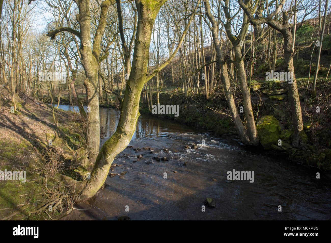 Penistone Sheffield nello Yorkshire Foto Stock