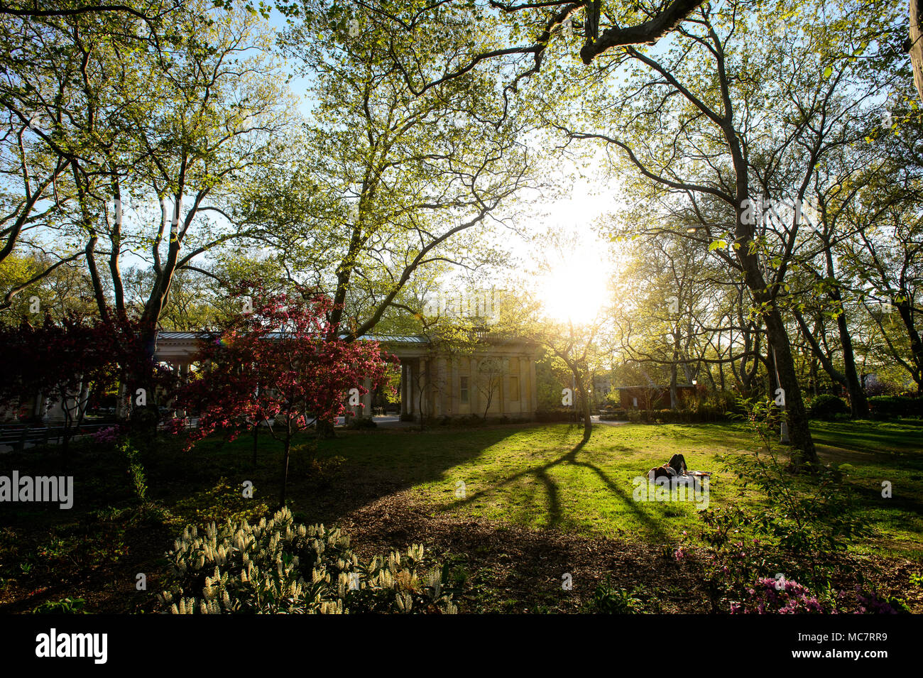 Una donna si appoggia nell'erba a Monsignor McGolrick Park, a Brooklyn, New York, nel maggio 2013. Foto Stock